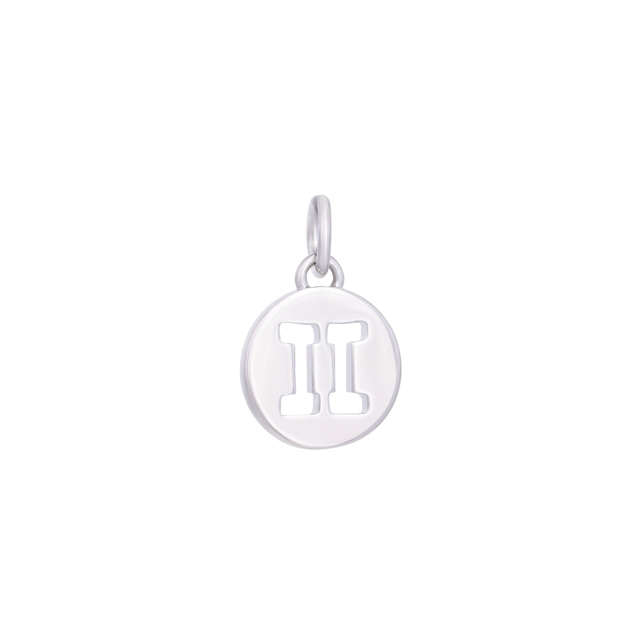 Silver Zodiac Charms