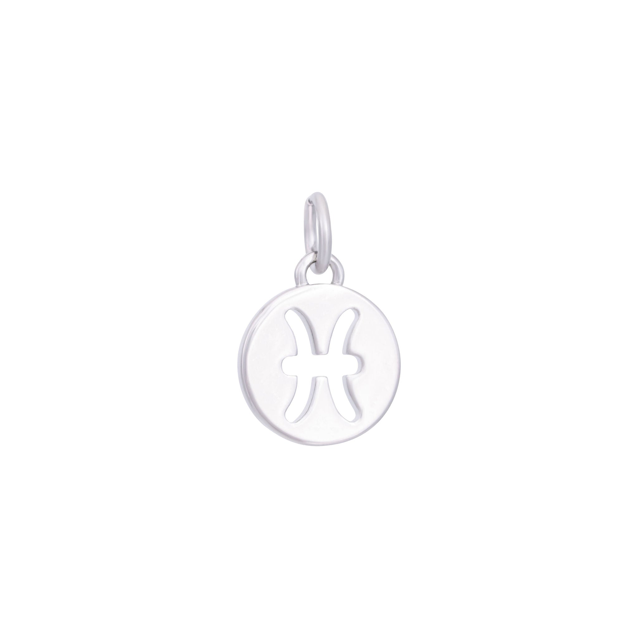 Silver Zodiac Charms