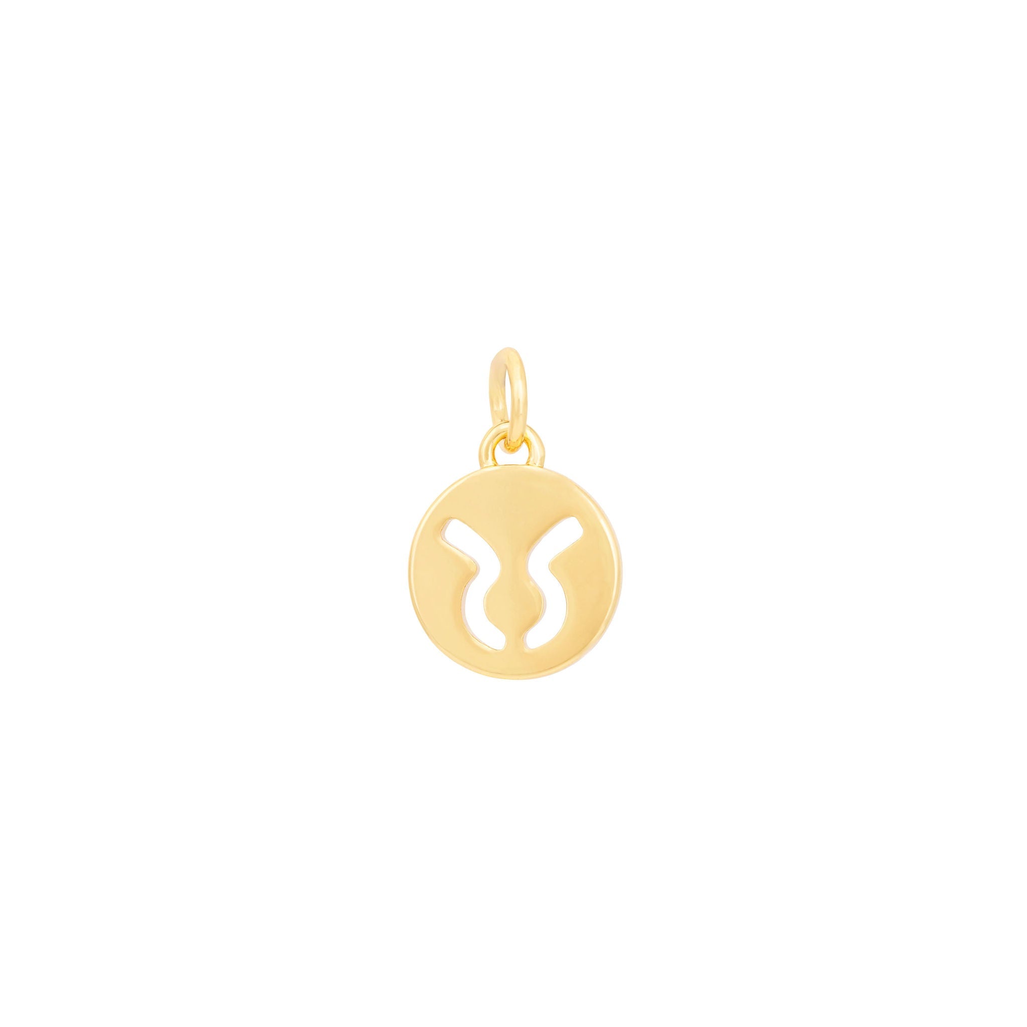 Gold Zodiac Charms