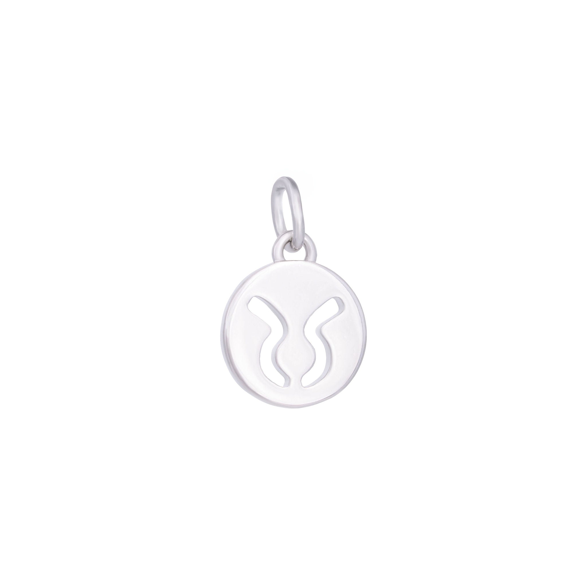 Silver Zodiac Charms